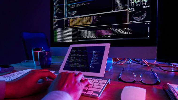 Programador